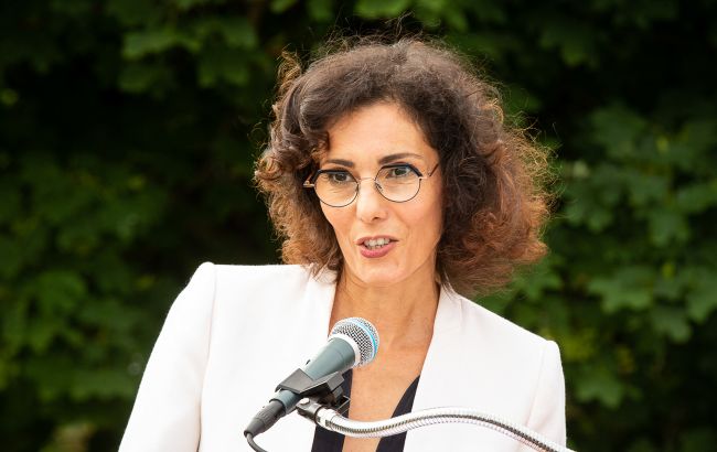 Глава МИД Бельгии сожалеет о визите в Крым и признает нарушение закона