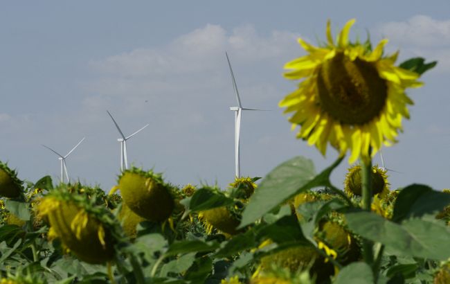 Як міфи та фейки про зміну клімату заважають розвитку "зеленої" енергетики: дослідження