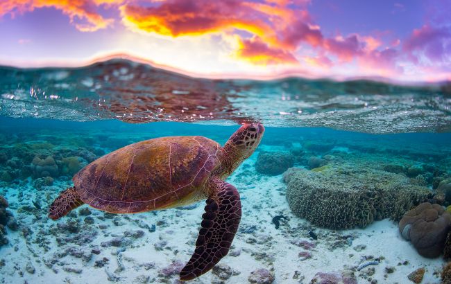 20 уникальных мест планеты, которые исчезнут до 2045 года: что надо успеть увидеть