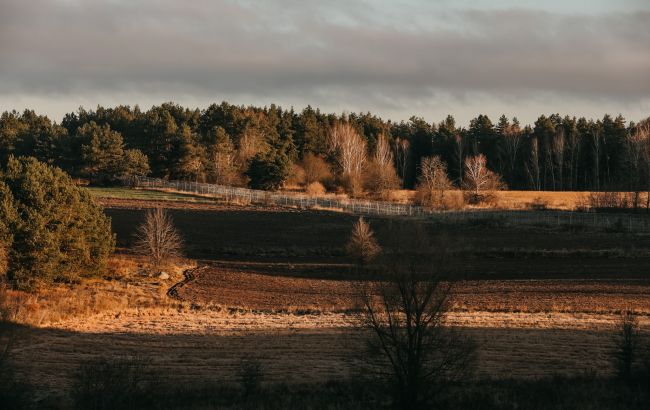 Эстония установила проволочное заграждение на границе с Россией