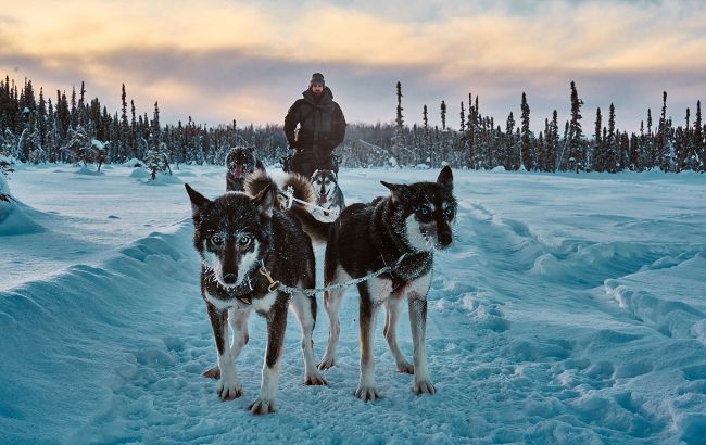 Як живуть люди на Алясці при -30: факти про побут, здоров'я та виплати від штату
