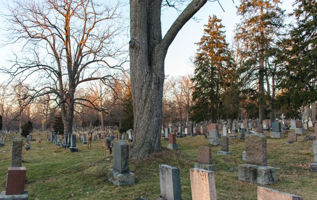 Кремація, аквамація, труна, компост? Вчені назвали найекологічніший спосіб поховання