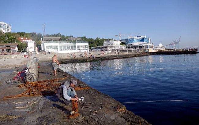 Креветки, мідії, рапани: хто не переживе війну у Чорному морі, &ndash; інтерв&rsquo;ю з біологом НАН