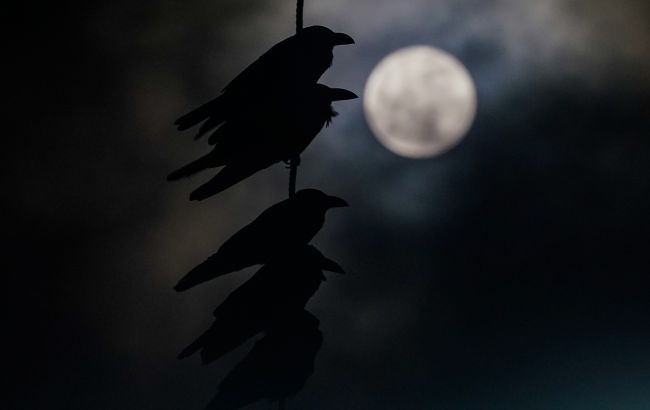 Остання Повня 2023 року стане тринадцятою: що категорично не варто робити