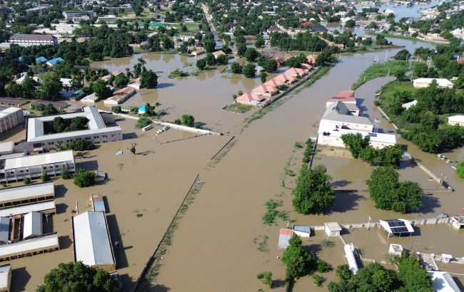 Масштабна повінь зруйнувала зоопарк у Нігерії: страуси, крокодили та змії на вулицях