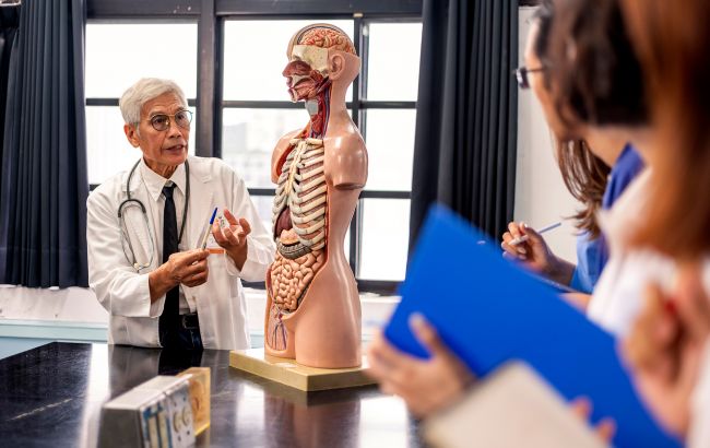 Відкриття століття. Вчені випадково знайшли новий орган у людському тілі: і це не жарт