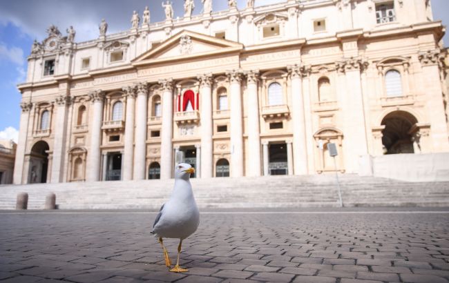 Конспірологи в захваті: яке значення має чайка на димарі Ватикану і чи може вона бути поганою прикметою?