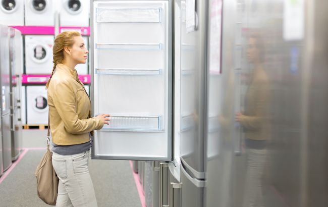 5 типов холодильников для разных нужд: как выбрать именно свой