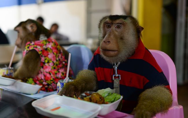 Не домашній улюбленець. За яких тварин в Україні можуть оштрафувати і навіть посадити