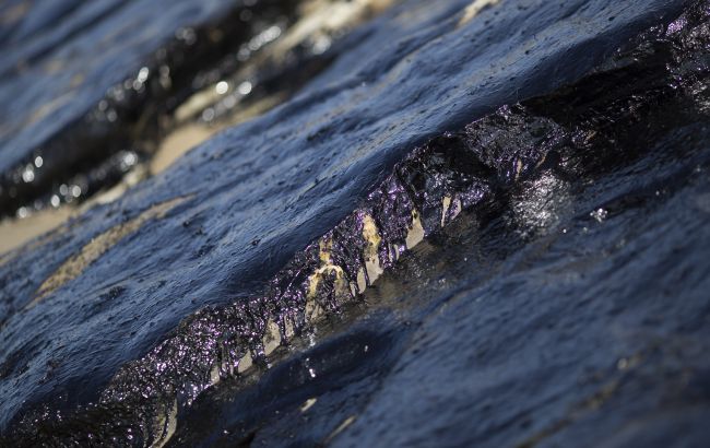 Способны разлагать нефть и мазут: в Арктике обнаружили уникальные виды микроорганизмов