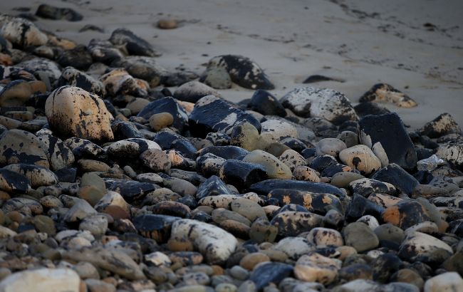 Екологічна катастфора. Біля узбережжя Каліфорнії стався&nbsp;масштабний розлив нафти