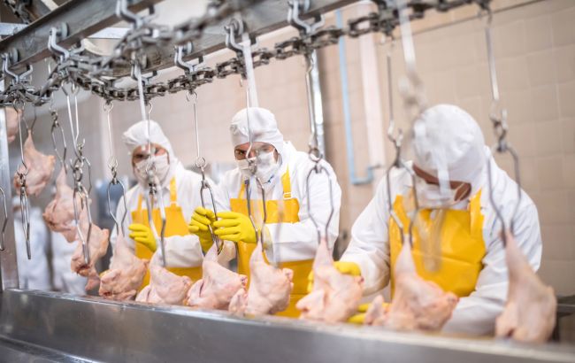 Унизительные требования: украинские птицеводы возмущены новыми ультиматумами Молдовы