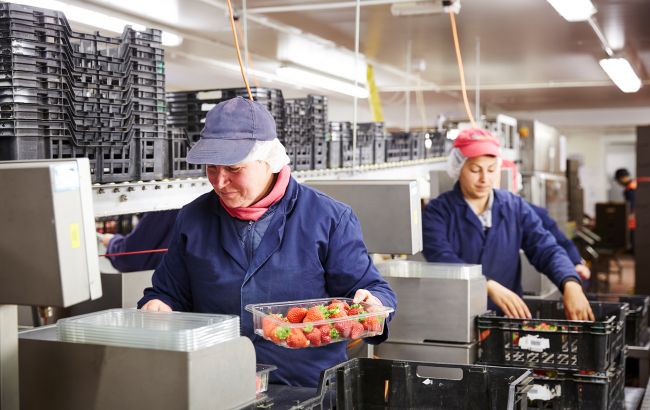 Без знання мови. Скільки можна заробити у Польщі восени: вакансії та зарплати