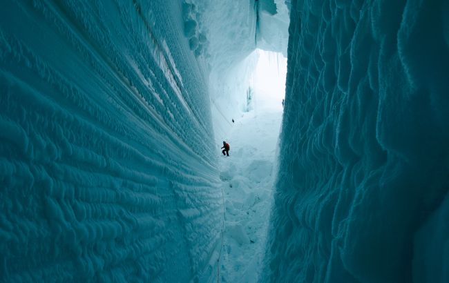 Антарктида колись була джунглями і там бігали динозаври? Вчені вразили новим відкриттям