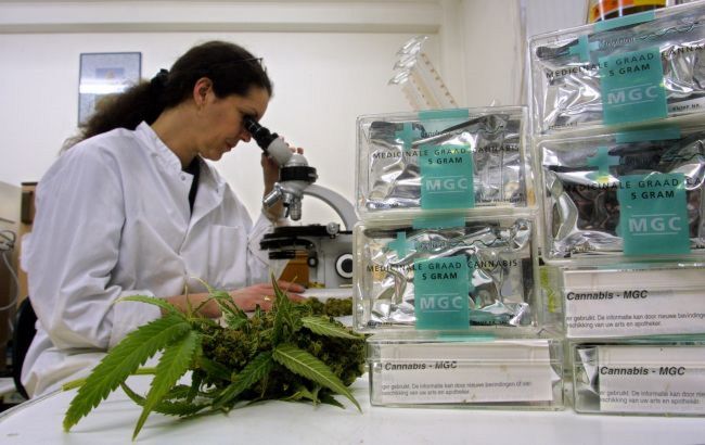 Комітет Ради схвалив легалізацію медичного канабісу