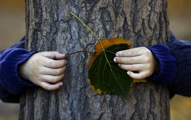 Шкільні канікули 2022-2023: як відпочиватимуть діти і чи будуть переноси