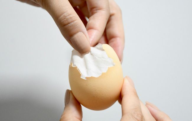 5 ознак, що яйце зіпсоване: ви точно не перевіряєте одну з них
