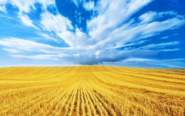 Украинские радиостанции будут начинать и заканчивать эфиры гимном Украины, - Нацтелерадио