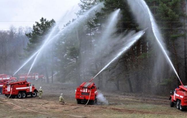 В правительстве планируют создать Чернобыльский радиоэкологический заповедник, - Минэкологии