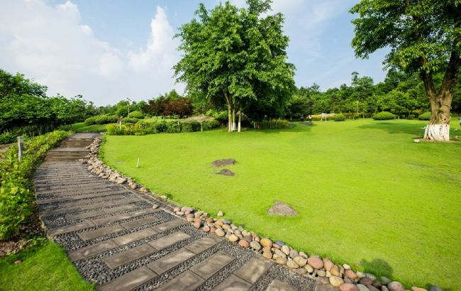 Як зробити двір охайним і затишним за допомогою простого газону