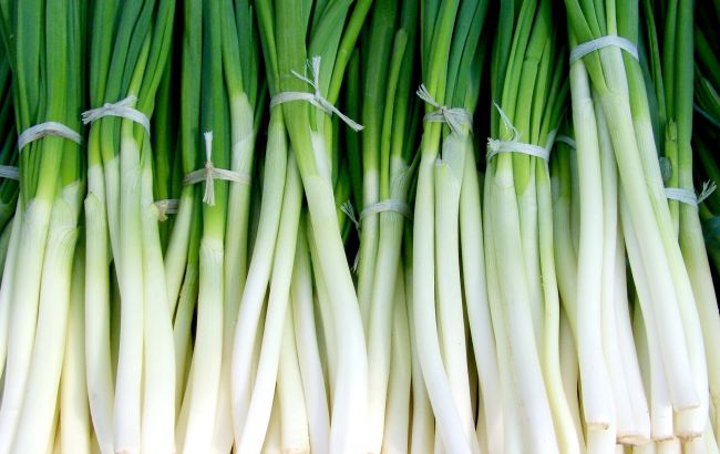 Як правильно заморозити на зиму зелену цибулю: ці нюанси дозволять зберегти всі вітаміни