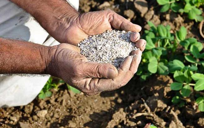 Аграрии призвали Порошенко не вводить санкции против иностранных производителей минудобрений