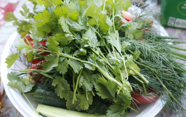 Названо найкориснішу українську зелень: додавайте всюди і їжте щодня