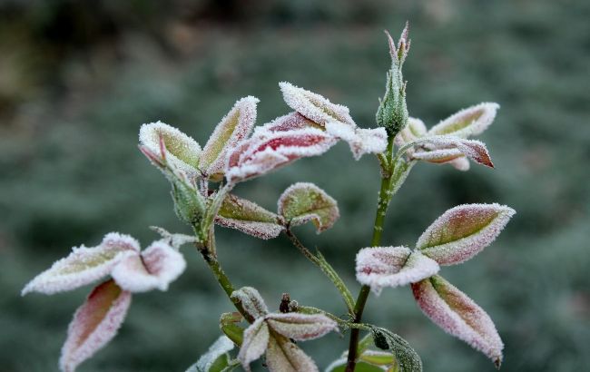Будуть ще сніг і заморозки: синоптики приголомшили прогнозом на квітень