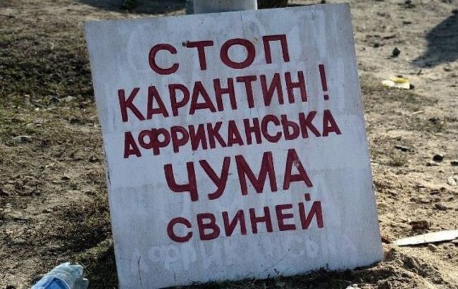 В Україні виявили африканську чуму. Де встановили карантинну зону