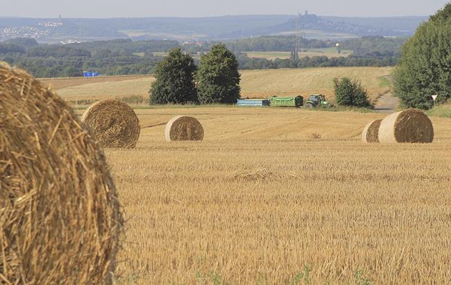 В МХП рассказали о бизнес-проектах для поддержки украинского села
