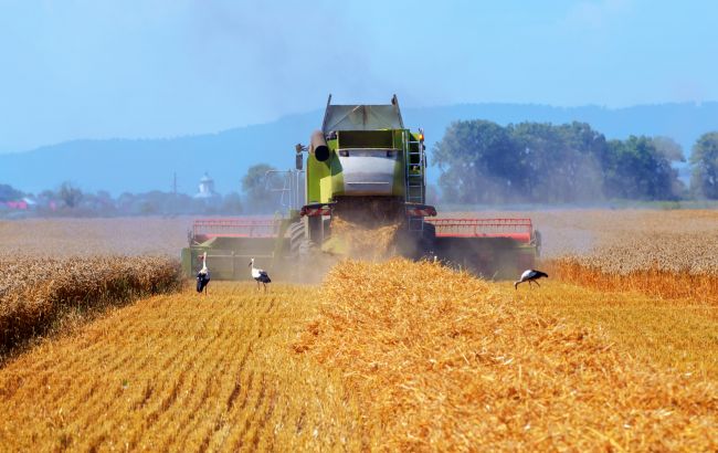 Рынок земли можно вводить, когда будут кредиты под 2-3%, - Палица