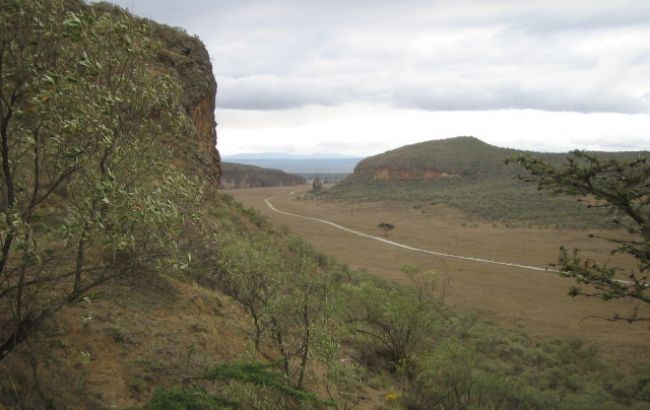 В Кении из-за наводнения погибли 6 туристов