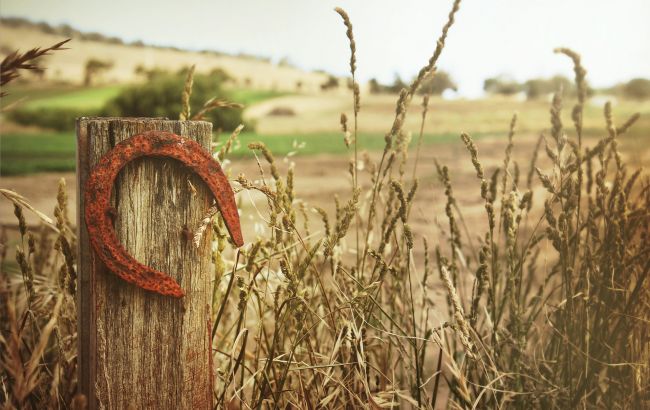 Самые мощные талисманы для денег и удачи: принесут счастье и защитят ваш дом
