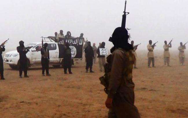 Amnesty International: ИГИЛ использует оружие со складов армии Ирака