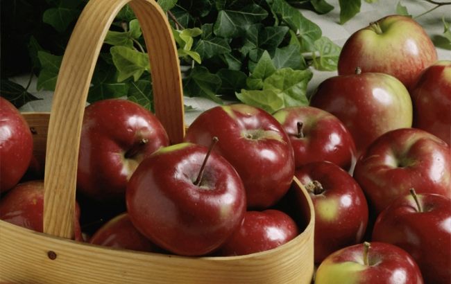 В МинАП опасаются, что плохая погода повлияет на урожай плодовых