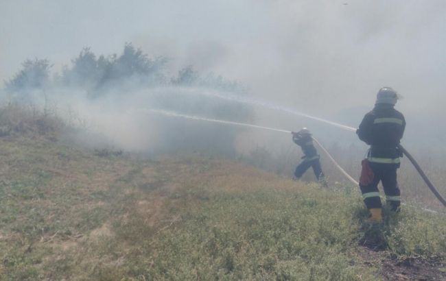 В Киеве горит около 4 га травяного настила по просп. Броварской