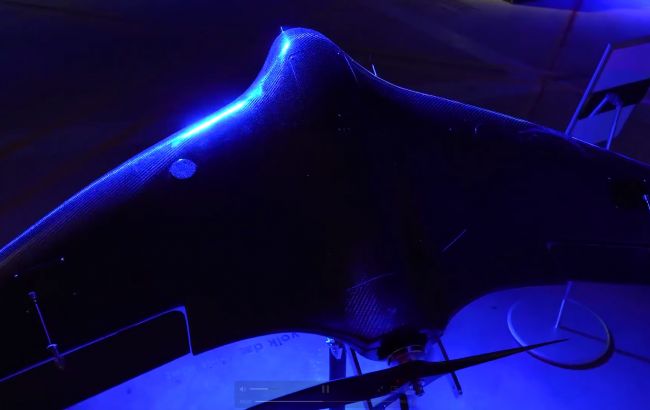 В Украине на выставке показали дрон, который "охотится" за "Шахедами" (фото)