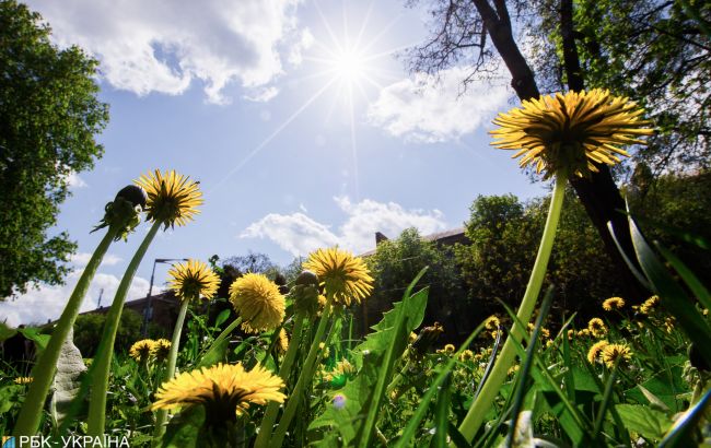 Минная опасность. Какие парки Киева все еще нельзя посещать