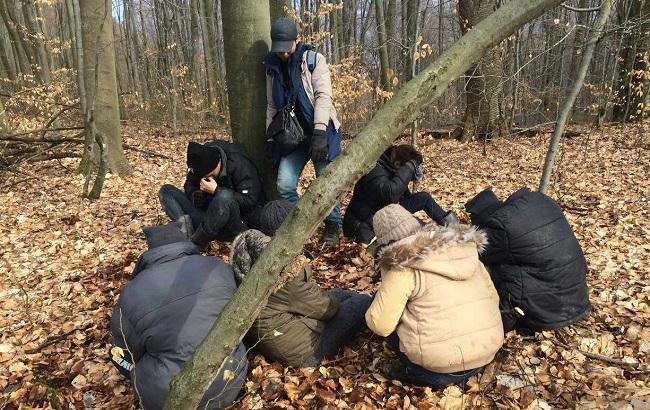 Пограничники обнаружили 9 нелегальных мигрантов из Сирии и Вьетнама