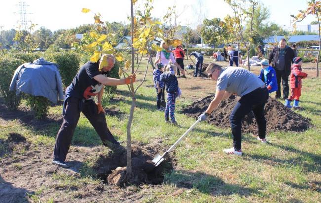 &laquo;Купил машину? Посади дерево!&raquo;: Тойота-Украина инициировала озеленение Киева