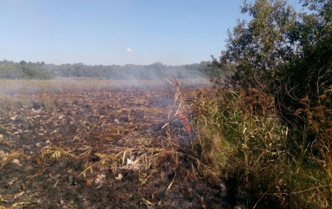 С начала года в Украине возникло более 15 тысяч пожаров в экосистемах