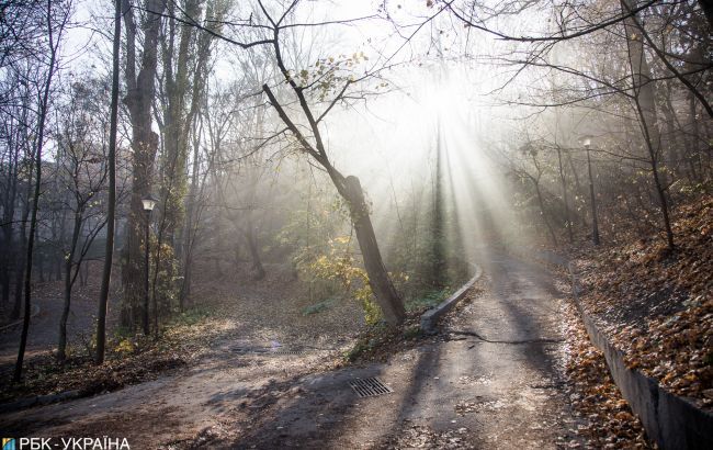 В некоторых областях Украины сегодня пройдут дожди