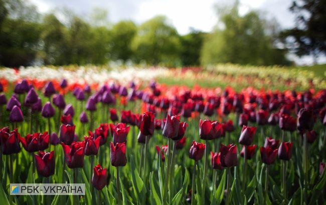 С трехнедельным опозданием: в Киев пришло метеорологическое лето