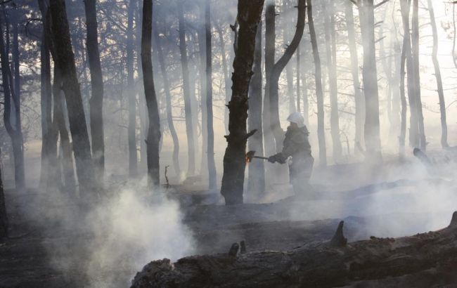 В Запорожской области произошел лесной пожар на острове Хортица