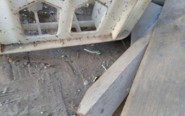 У Черкасах стався великий витік ртуті