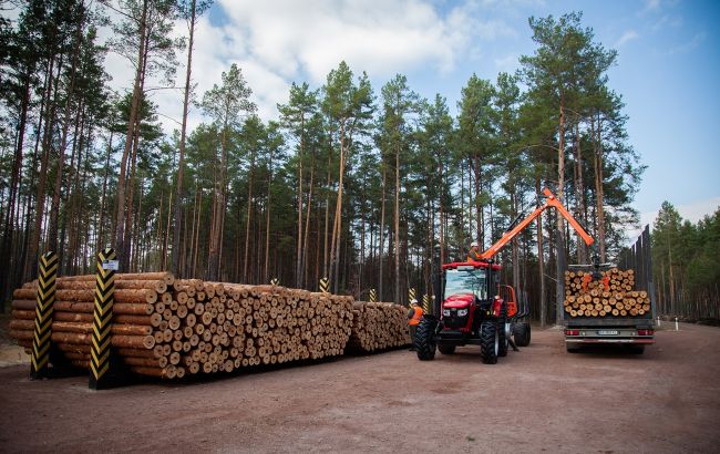 Рекордный показатель. "Леса Украины" в 2025 году перечислили в госбюджет 15 млрд грн