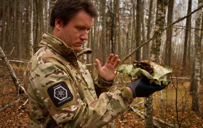 Чи водяться мутанти у Чорнобилі та хто живе у рудому лісі: бліц про тварин зони відчуження