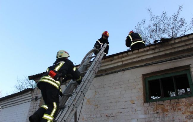 В Киевском зоопарке произошел пожар, часть животных эвакуировали