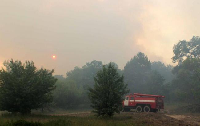 Пожар в Чернобыльской зоне: показатели радиационного загрязнения в пределах нормы