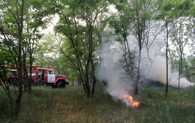 Пожежа в Чорнобилі: подробиці